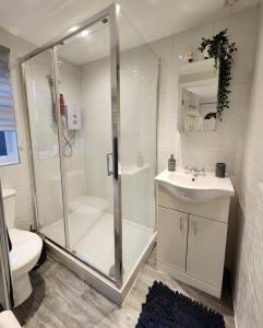 y baño con ducha, lavabo y aseo. en Studio Apartment The Den Colnbrook, en Colnbrook