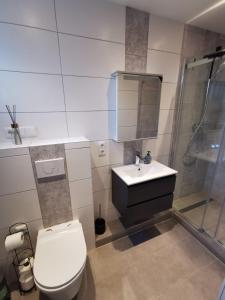 e bagno con servizi igienici, lavandino e doccia. di Tiny Home mit Panoramaterrasse - Ausblick ins Grüne inklusive a Wilhelmshaven