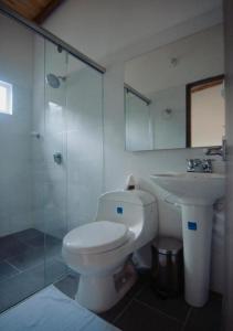 a bathroom with a toilet and a sink and a shower at Hotel Zakú in Palomino