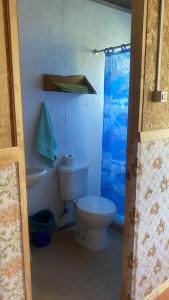 a small bathroom with a toilet and a shower at Mecohue in Chaitén