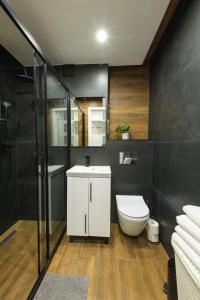 a bathroom with a toilet and a sink and a shower at Apartament Pod Jedynką in Bielsko-Biała