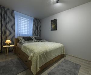 a bedroom with a bed and a window at Apartament Pod Jedynką in Bielsko-Biała
