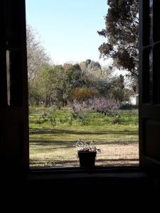 a window view of a field with a potted plant at Casa Quinta in Colonia Caroya