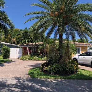 a palm tree in front of a house at Private bedroom & den suite with shared pool & tropical garden in Fort Lauderdale