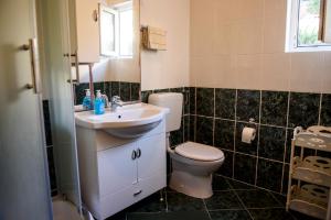Koupelna v ubytování Apartman Mijo - Suhi Potok + 23 fotografií