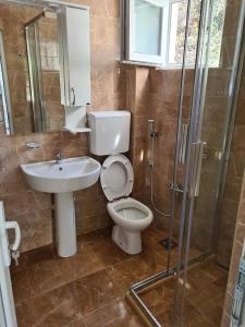 a bathroom with a toilet and a sink and a shower at Apartment AS in Čanj