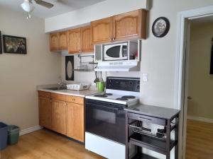 a kitchen with a stove and a microwave at Three Island Motel in Bobcaygeon