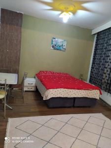 Schlafzimmer mit einem Bett mit einer roten Bettdecke in der Unterkunft Uzis double Room in Istanbul