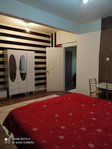 ein Schlafzimmer mit einem großen Bett mit einer roten Decke in der Unterkunft Uzis double Room in Istanbul