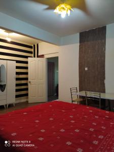 Zimmer mit einem roten Bett und einem roten Teppich in der Unterkunft Uzis double Room in Istanbul
