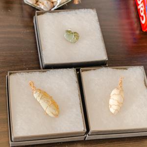 公寓内部或周边提供的食物