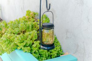 Welches HillThe Hidden Cottage的相册照片