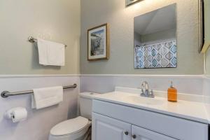 a bathroom with a toilet and a sink and a mirror at Beautiful Studio in Downtown Dunedin! in Dunedin +11 photos