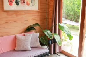 un sofá rosa con una planta sentada junto a una ventana en Escape to a Peaceful Eco Studio in Private Garden, en Yapeen