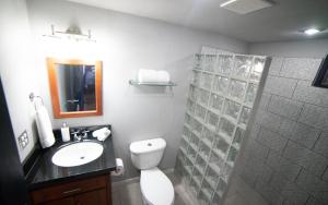 a bathroom with a toilet and a sink and a shower at Villas Aracari in Alajuela City