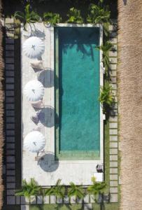 塞隆貝拉納克的住宿－Suku Lifestyle Hotel，享有带遮阳伞的游泳池的顶部景致