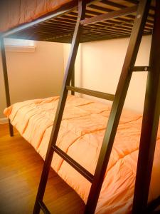 een slaapkamer met een stapelbed en een ladder bij The Doze Off in Houston