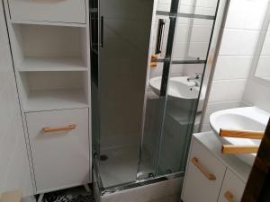 W łazience znajduje się prysznic i umywalka. w obiekcie Appartement Le Grand-Bornand, 1 pièce, 4 personnes - FR-1-241-176 w mieście Le Grand-Bornand