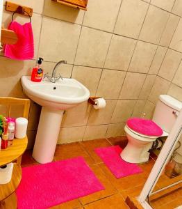 W łazience znajduje się umywalka, toaleta i różowe maty. w obiekcie 25 Swallow Yellowood w mieście Durban