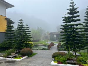 蒙查温泉旅馆外面的花园