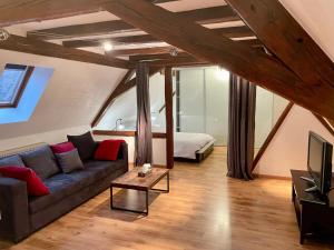 a living room with a couch and a bed at Le Petit Linck - Typique au coeur de Colmar in Colmar