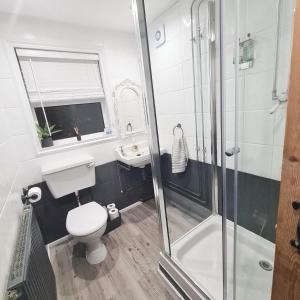 a bathroom with a toilet and a sink and a shower at North Coast Property - North Coast Cottage in Thurso