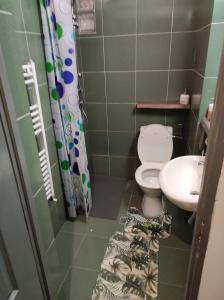 ein Bad mit einem WC und einem Waschbecken in der Unterkunft Chostello Ecomis Rustik in Sibiu