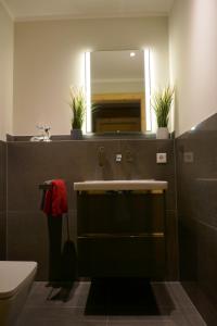 a bathroom with a sink and a mirror at Bodenschneid Suiten Rottach-Egern in Rottach-Egern