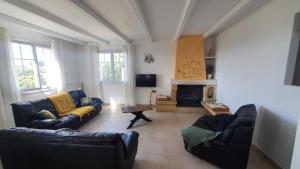salon z dwiema kanapami i kominkiem w obiekcie La maison de vacances de Campoussin w mieście Montfrin
