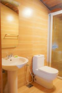 een badkamer met een toilet en een wastafel bij Blue Moon Residency in Nuwara Eliya