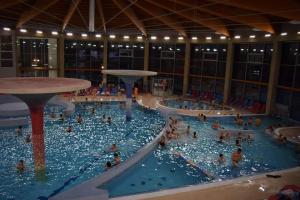 a group of people in a swimming pool at Vila Pavlínka apartmány Losiny in Velké Losiny