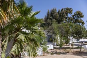 Naxos green Village hotel外面的花园