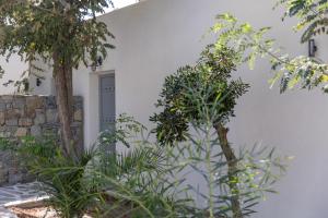 Naxos green Village hotel外面的花园