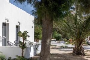 Naxos green Village hotel外面的花园