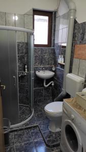 y baño con aseo, lavabo y ducha. en Apartment Dimitrieski, en Višegrad