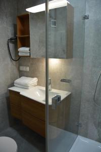 a bathroom with a sink and a glass shower at Alpinaflat in Rosenheim