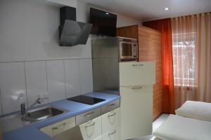 una piccola cucina con frigorifero e lavandino di Alpinaflat a Rosenheim