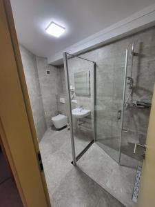a bathroom with a shower and a toilet and a sink at Alpinaflat in Rosenheim