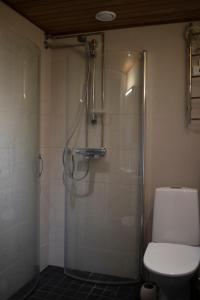baño con ducha, aseo y puerta de cristal en Villa Sukka en Kuusamo