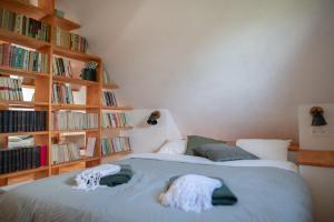 Schlafzimmer mit einem Bett und Bücherregalen in der Unterkunft Libling Hruštička in Banská Štiavnica