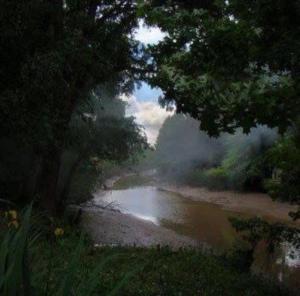 a river with fog on the side of it at Flamante casa en Delta de Tigre in Buenos Aires