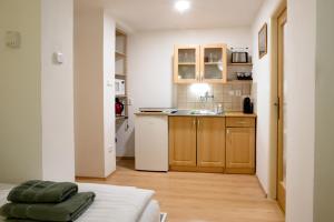Kuchyň nebo kuchyňský kout v ubytování Apartmány Bramborka