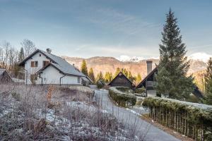 ein Haus in den Bergen mit Schnee auf dem Boden in der Unterkunft Villa Belica in Bohinj
