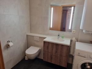 Koupelna v ubytování Litla-Hof Guesthouse