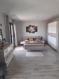 ein Schlafzimmer mit einem Bett und einer Kommode darin in der Unterkunft Magnifique villa avec piscine in Cestas