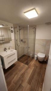 a bathroom with a shower and a toilet and a sink at Allgäunest in Leutkirch im Allgäu +19 photos