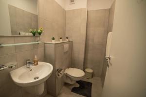 a bathroom with a toilet and a sink at Carpe Diem Travel in Timişoara