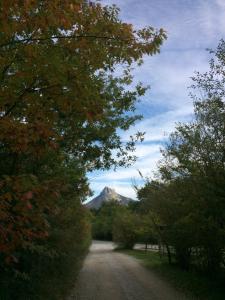 a dirt road with a mountain in the distance at CAMPING ETXARRI in Echarri-Aranaz