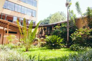 a garden in front of a building with plants at Gorillas City Centre Hotel in Kigali