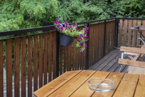 a wooden deck with a table and a pot of flowers at Hotel zur Klause in Saarbrücken